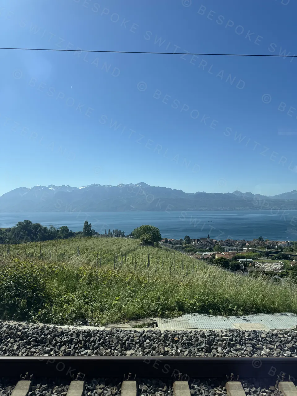 The Lavaux vineyards and Lake Geneva from the train