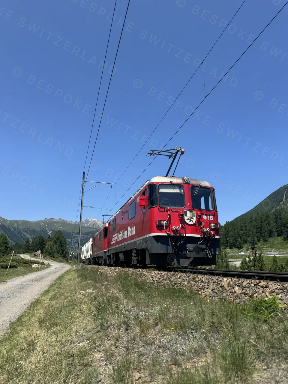 Rhaetian Railway in the Albula / Bernina Landscapes — A Rhaetian Railway train on the Bernina line near Pontresina